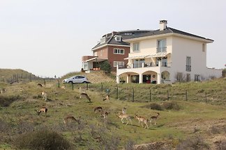 Düne Wohnung