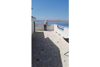 Jeśli niedźwiedź przychodzi do morza ...