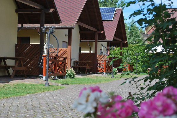 Ferienhaus Dzwirzyno