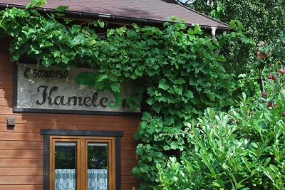 Chameleon Cottages
