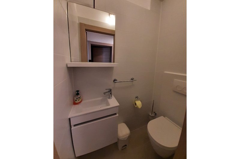 Wohnung 1 Toilette
