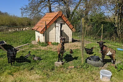 La Vacherie