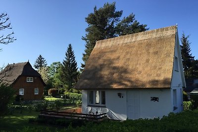 Casa de vacaciones con techo de paja Boddenblick