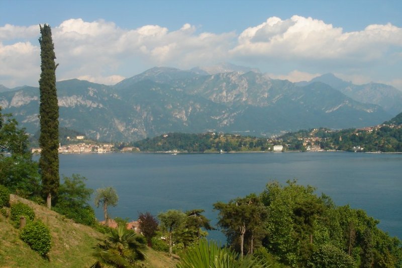Blick vom oberen Grundstück auf den See