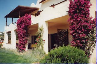 Haus Busch-Pileri