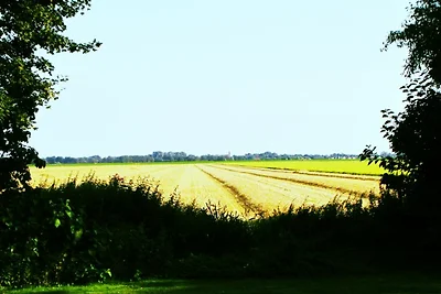 Casa vacanza Polder sul Dollart