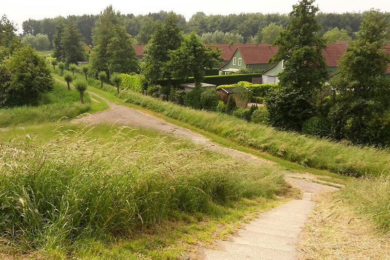 Der Bungalowpark De Oesterbaai vom Deich entlang der Oosterschelde