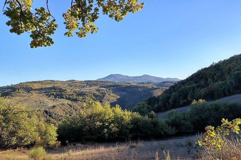 Monte Amiata, Wandern, Mountainbiken, 20 min