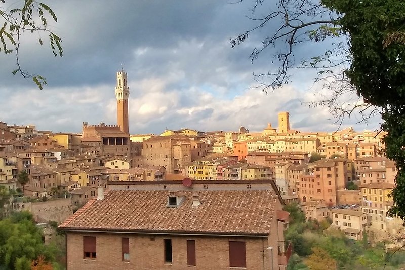 Mittelalterliche Siena, Palio,  75 min
