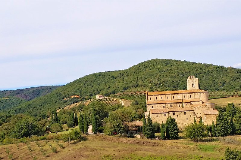 Bezaubernde Sant'Antimo Abtei im Brunello-Weingebiet, Wandern, 40 min