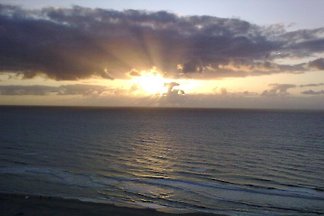 App. Meeresblick Zandvoort NL 4*