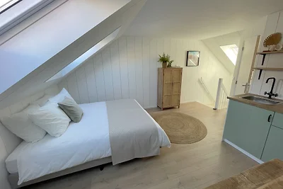 Barefoot Beach Studio