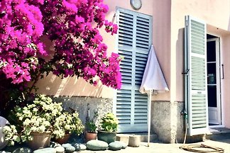 NONZA Cap Corse