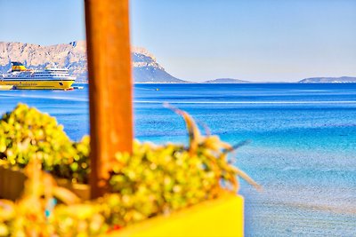 Ortensia Weiss, Golfo Aranci