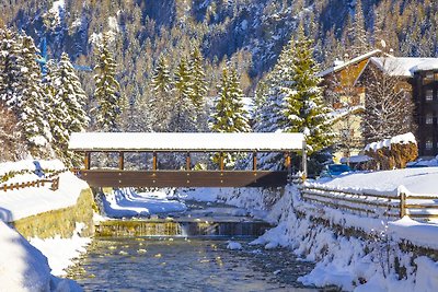 Die Zwillings-Apartment Champoluc