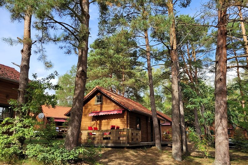 Ein charmantes Holzhaus im Wald und blauem Himmel.