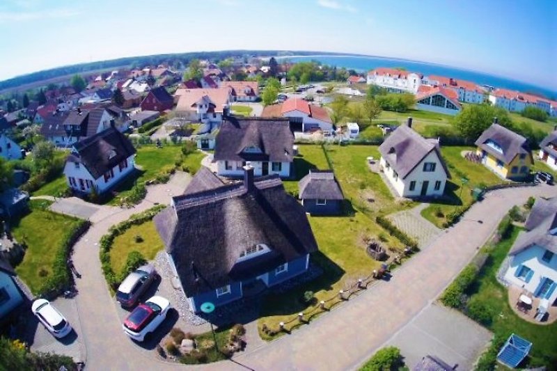 Luftbild Reetdachhaus Seemöwe