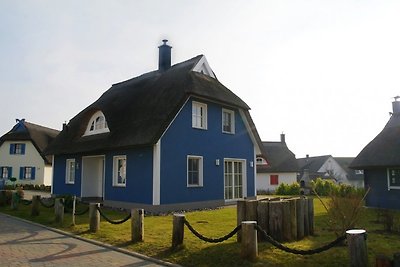 Huis met rieten dak Zeemeeuw