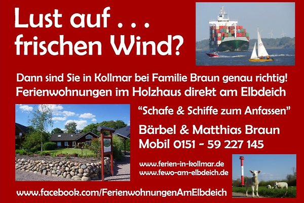 Family B. Braun Family B. Braun