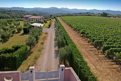 Casa Ulivino Bolgheri Küste Toskana