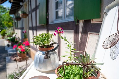 Ferienwohnung Auszeit