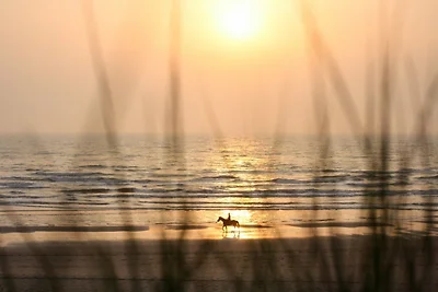 Duinrust Noordwijk