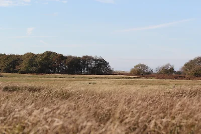Duinrust Noordwijk