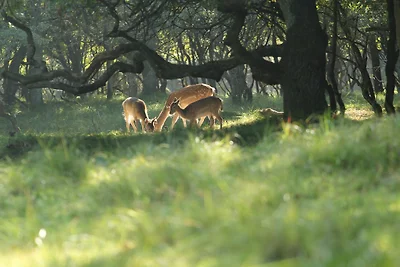 Duinrust Noordwijk