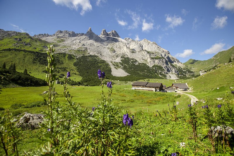 Beeindruckende Berglandschaft mit grünen Wiesen und blühenden Blumen.