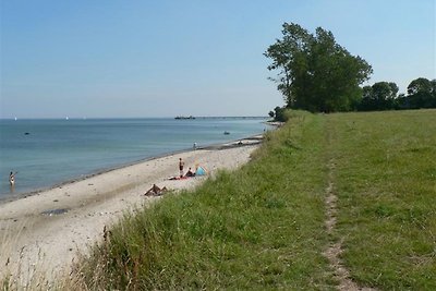 Ostsee-Ferien in Jellenbek
