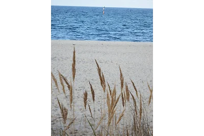 NUOVO Kühlungsborn 3 Pers Mar Baltico WLAN