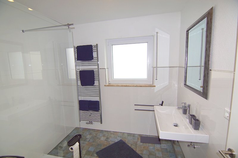 Modernes Badezimmer mit Glasdusche und Aluminiumtür.