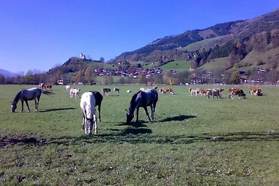 Haus Karin