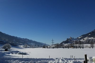 Vakantiehuis Ontspannende vakantie Bruck an der Großglocknerstraße