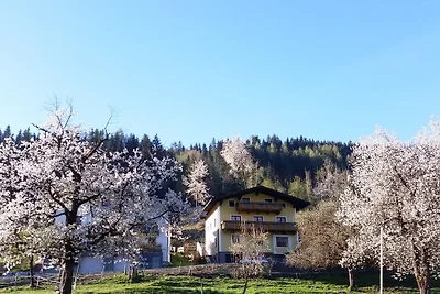 Haus Karin