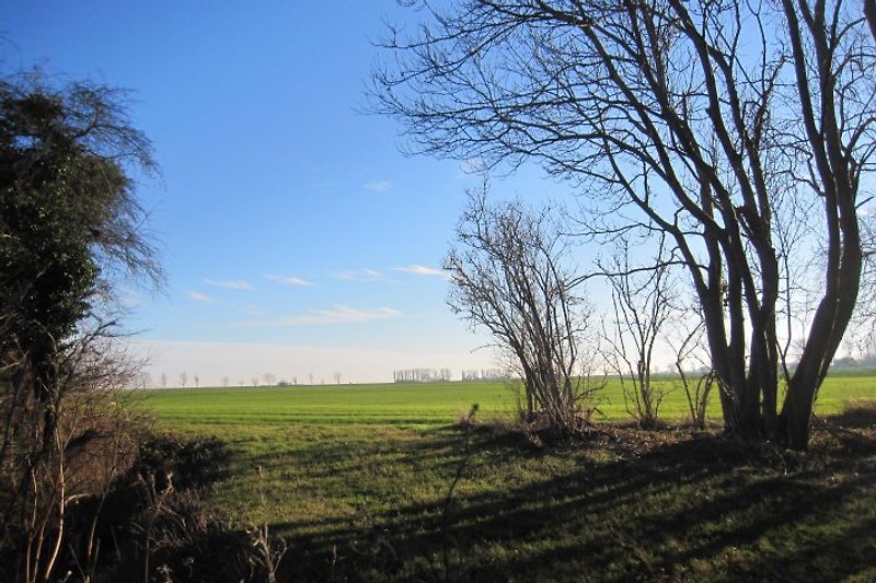 Blick vom Grundstück Richtung Ostsee