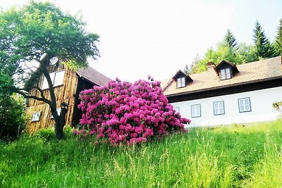 Casa de vacaciones Vacaciones de reposo Miesenbach bei Birkfeld