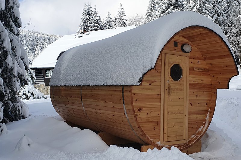 Winterlandschaft mit Holzhütte, Tannen und Frost - perfekt für Winterurlaub!