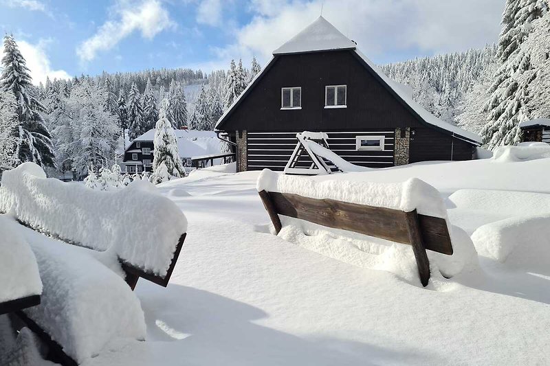 Winterlandschaft mit Holzhütte, Schnee und Tannen - perfekt für Winterurlaub!