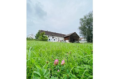 Granja en el Sallingbach