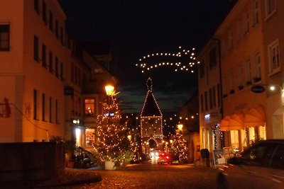 Vakantieappartement Gezinsvakantie Endingen