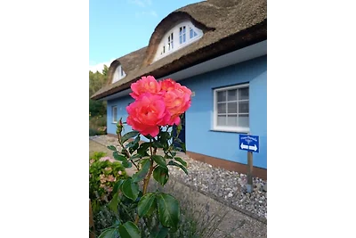 Ferienhaushälfte Daniela 2