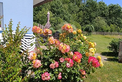 Casa di vacanza mezza Daniela 1