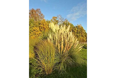 Casa di vacanza mezza Daniela 1