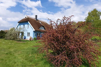 Ferienhaushälfte Daniela 1