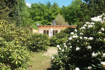 Casa di vacanza Seensucht