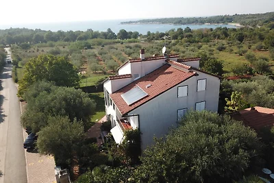 Meerblick-Apartments Vjeko