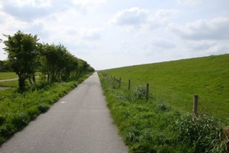 Bicycle paths on the dike