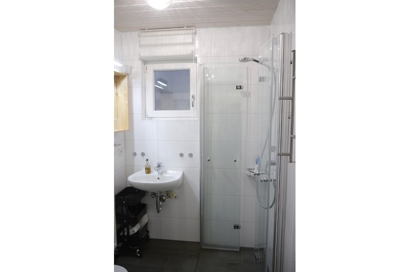 Moderne Dusche/WC mit Spiegel undWaschbecken