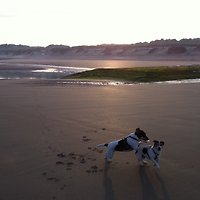 Sig.ra M. Gerighausen